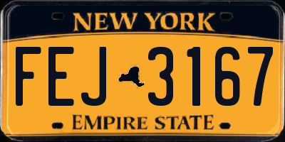 NY license plate FEJ3167