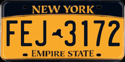NY license plate FEJ3172