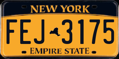 NY license plate FEJ3175