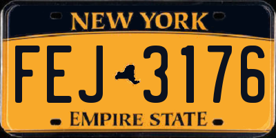 NY license plate FEJ3176