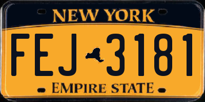 NY license plate FEJ3181