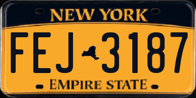 NY license plate FEJ3187