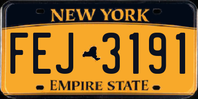 NY license plate FEJ3191
