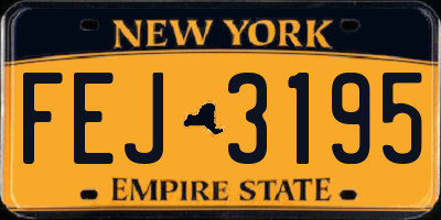 NY license plate FEJ3195