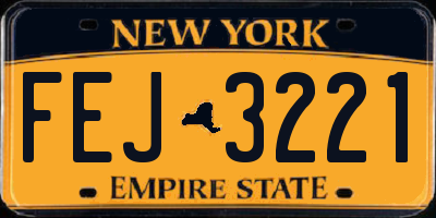 NY license plate FEJ3221
