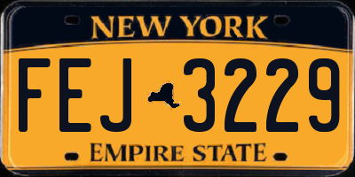 NY license plate FEJ3229