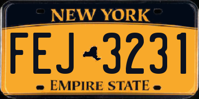 NY license plate FEJ3231