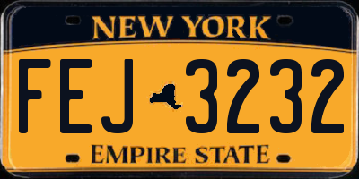 NY license plate FEJ3232