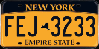 NY license plate FEJ3233