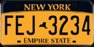 NY license plate FEJ3234