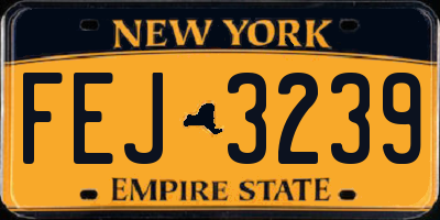 NY license plate FEJ3239