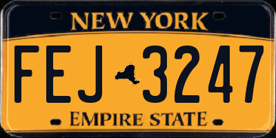 NY license plate FEJ3247