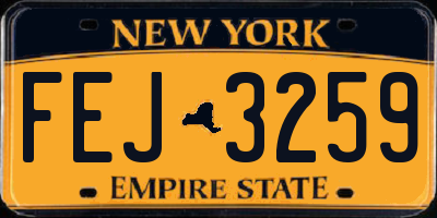 NY license plate FEJ3259