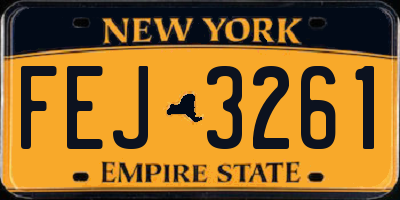 NY license plate FEJ3261