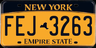 NY license plate FEJ3263
