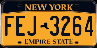 NY license plate FEJ3264
