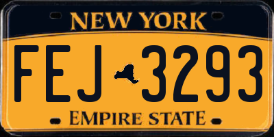 NY license plate FEJ3293