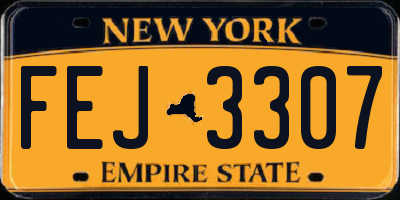 NY license plate FEJ3307