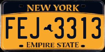 NY license plate FEJ3313