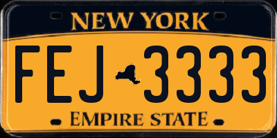 NY license plate FEJ3333