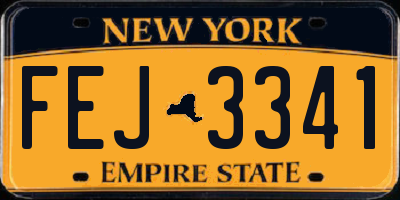 NY license plate FEJ3341