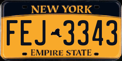 NY license plate FEJ3343