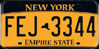 NY license plate FEJ3344