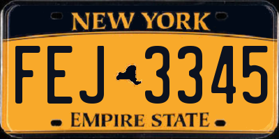 NY license plate FEJ3345