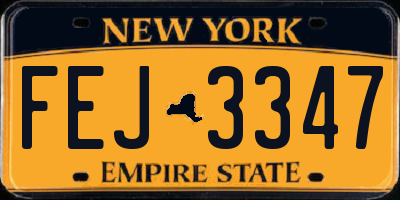 NY license plate FEJ3347