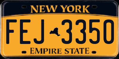 NY license plate FEJ3350