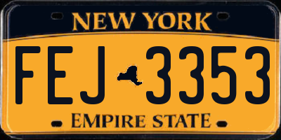 NY license plate FEJ3353
