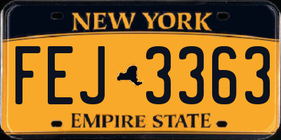 NY license plate FEJ3363