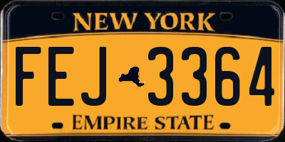 NY license plate FEJ3364