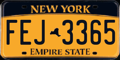 NY license plate FEJ3365
