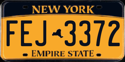 NY license plate FEJ3372