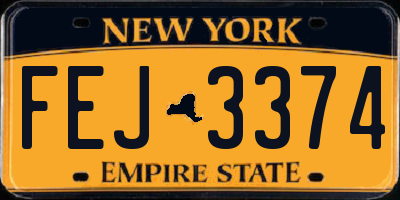 NY license plate FEJ3374