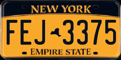 NY license plate FEJ3375