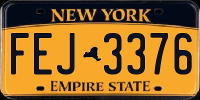NY license plate FEJ3376