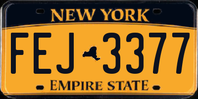 NY license plate FEJ3377