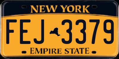 NY license plate FEJ3379
