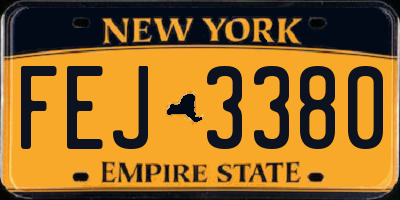 NY license plate FEJ3380