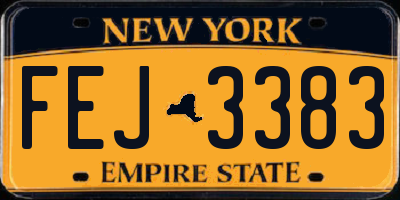 NY license plate FEJ3383