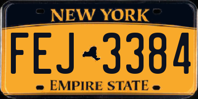 NY license plate FEJ3384
