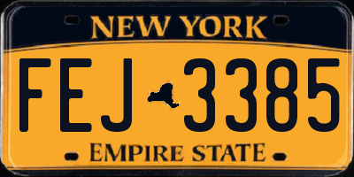 NY license plate FEJ3385