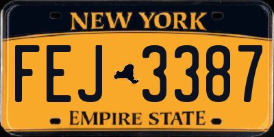 NY license plate FEJ3387