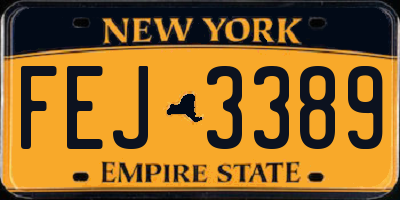 NY license plate FEJ3389