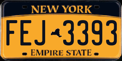 NY license plate FEJ3393