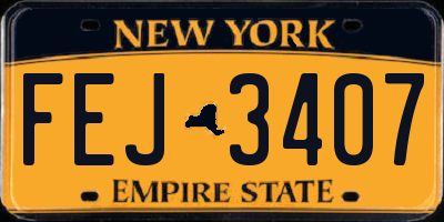 NY license plate FEJ3407