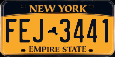 NY license plate FEJ3441