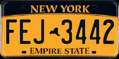 NY license plate FEJ3442